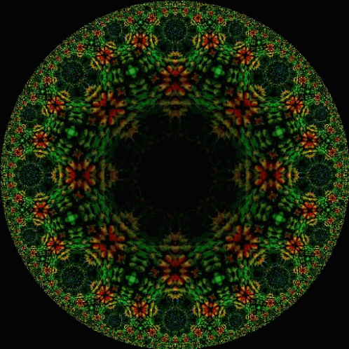 Fractal 498 X 498 Gif GIF