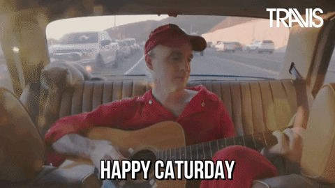 Fran Healy Caturday Happy Cat Meme GIF