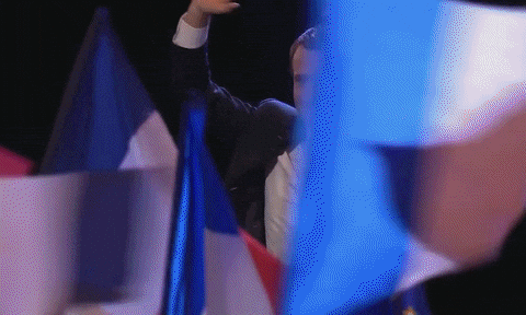 France Bastille Day Flags Waving GIF
