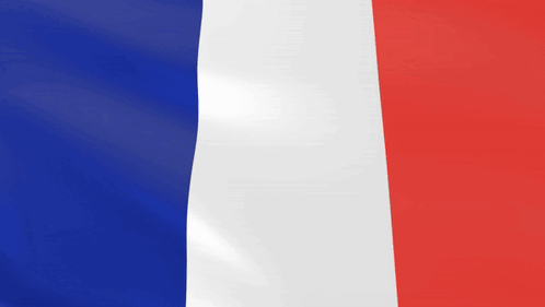 France Flag Blue White Red Waving GIF