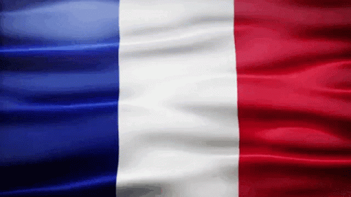 France Flag Gif GIF