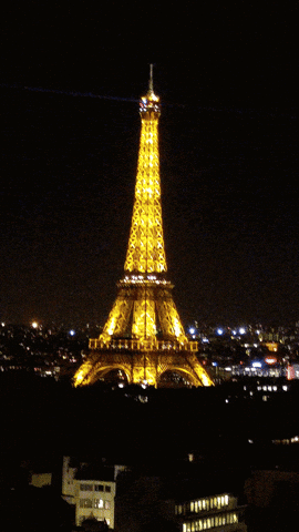 France Historical Landmark Eiffel Tower At Night GIF