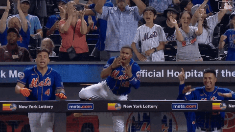 Francisco Alvarez Excited Cheering On The Sideline GIF