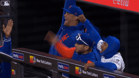 Francisco Alvarez Excited High Five GIF