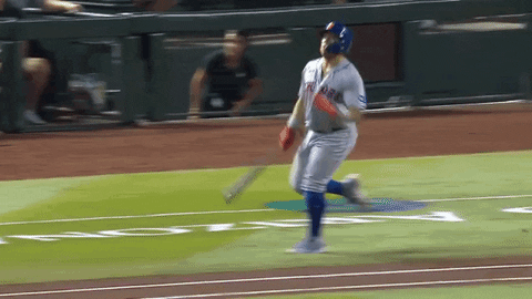Francisco Alvarez High Jumps Celebration GIF