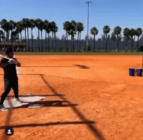 Francisco Alvarez Practice Baseball Swing GIF