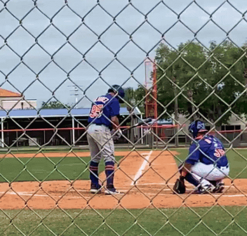 Francisco Alvarez Ready To Swing GIF