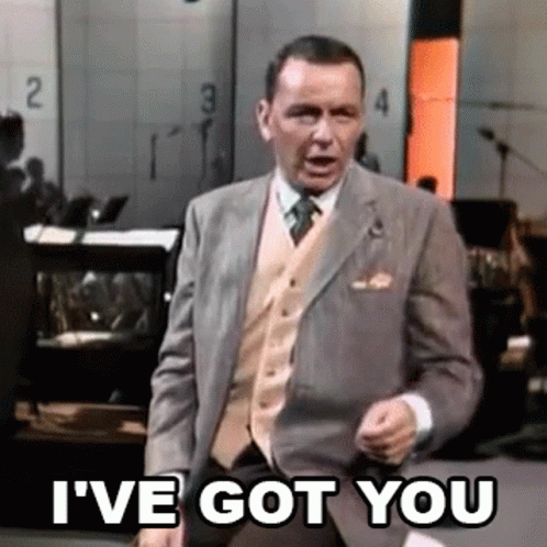 Frank Sinatra I've Got You GIF