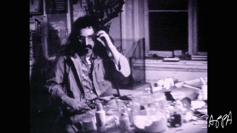 Frank Zappa 60s Music Shades GIF