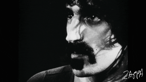 Frank Zappa Black And White GIF
