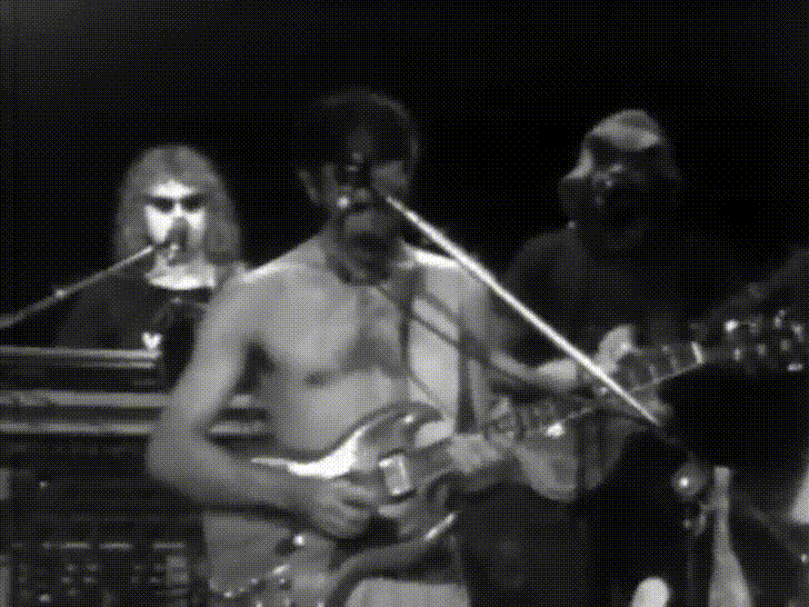 Frank Zappa Playing Guitar Concert GIF