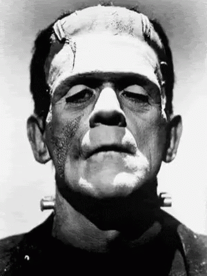 Classic Frankenstein Monster And Elizabeth Image GIF