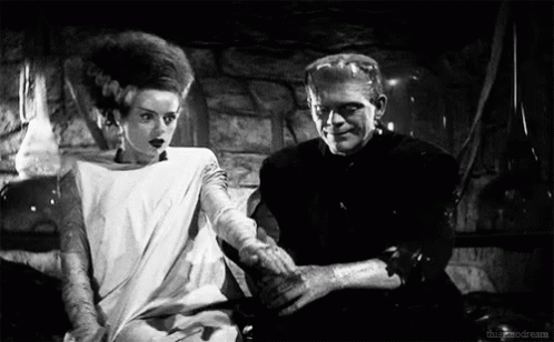 Frankenstein Monster Meeting Elizabeth GIF
