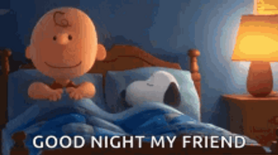Franklin And Snoopy Good Night Friend GIF