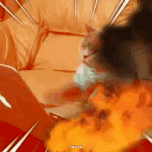 Frantic Cat Writing On Fire GIF