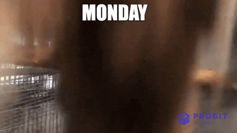 Frantic Monday Spinning Monkey Meme GIF