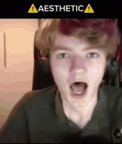 Frantic Youtuber Tommyinnit Screaming GIF