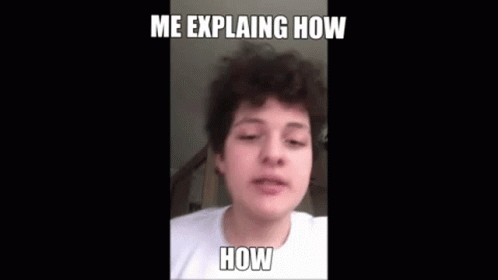 Freaking Out Me Explaining How Funny Meme GIF
