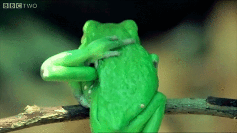 Freaky Green Frog Twisted Legs GIF