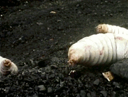 Freaky Maggots Doctor Who Scene GIF