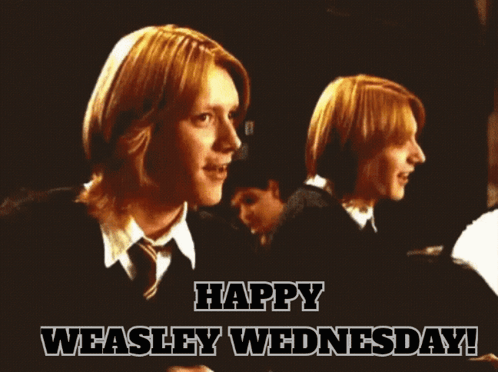 Fred Weasley Happy Weasley Wednesday GIF