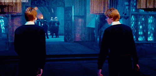 Fred Weasley Judging You GIF