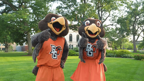 Freddie And Frieda The Falcon Approve GIF