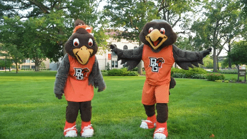 Freddie And Frieda The Falcon Flying GIF