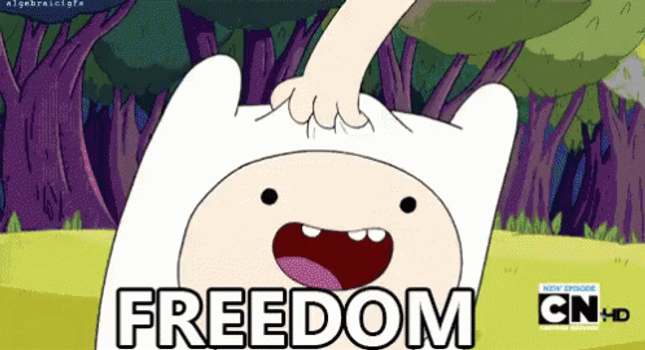Free At Last Freedom Finn The Human Hair GIF