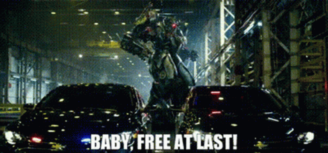 Free At Last GIF