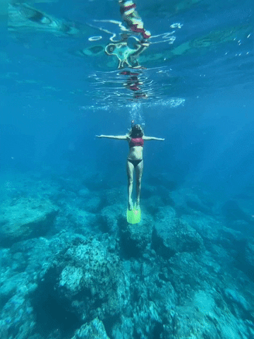 Free Diving Underwater GIF