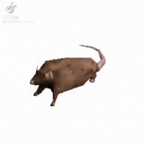 Free Spinning Chubby Rat Animation GIF