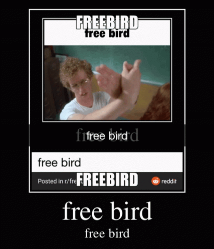 Freebird Free Bird Poster