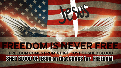 Freedom Is Never Free Poster American Flag
