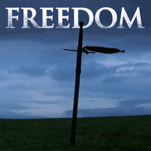 Freedom Sword Standing On Ground GIF
