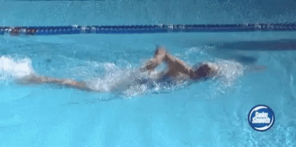 Freestyle Swimming Technique GIF 