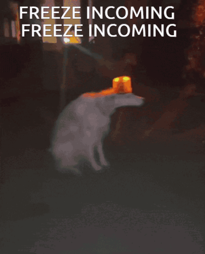 Freeze Incoming GIF