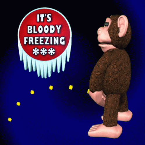 It's Bloody Freezing Monkey Animated GIF