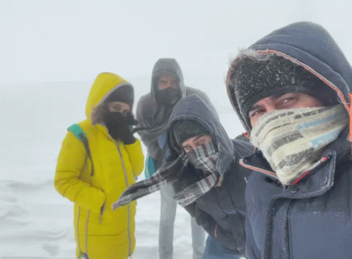 Group Of Friends Freezing GIF