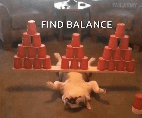French Bulldog Find Balance Stacks GIF