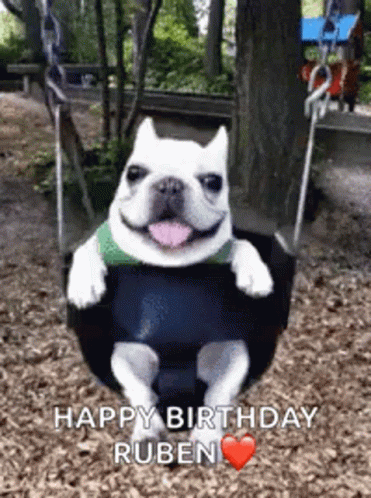 French Bulldog Happy Birthday Swing GIF
