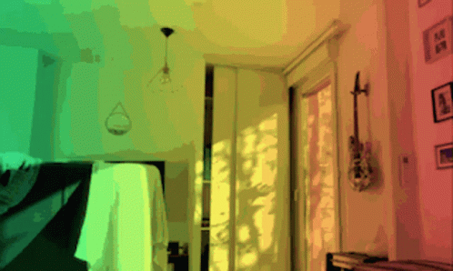 French Bulldog Light Dance Party GIF