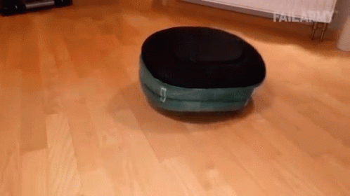French Bulldog Play Time GIF