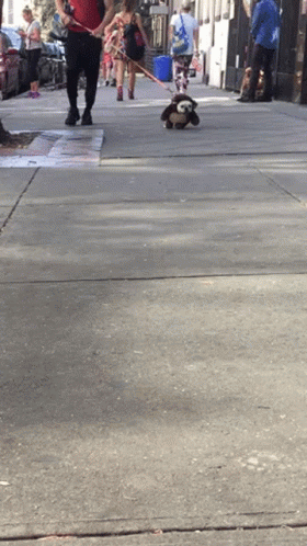 French Bulldog Running Dog Costume GIF