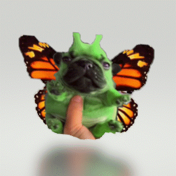 French Bulldog Weird Butterfly GIF
