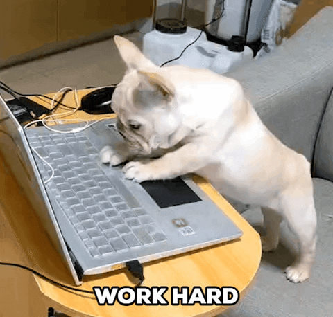 French Bulldog Work Monday Work Hard GIF