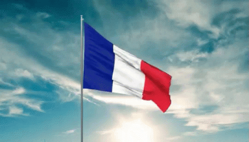 French Flag Waving Against Blue Sky GIF
