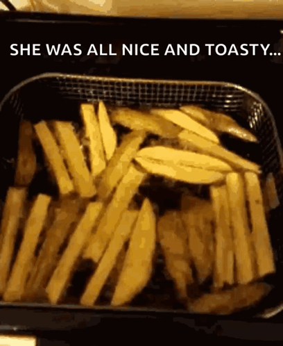 French Fries In A Fryer With The Words She Was All Nice And Toasty GIF
