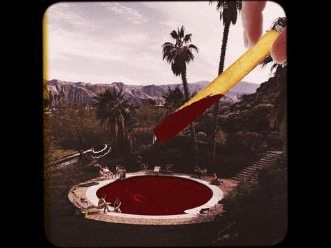 French Fries Ketchup Pool GIF