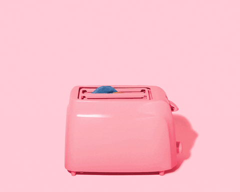 French Toast Breakfast Toaster GIF